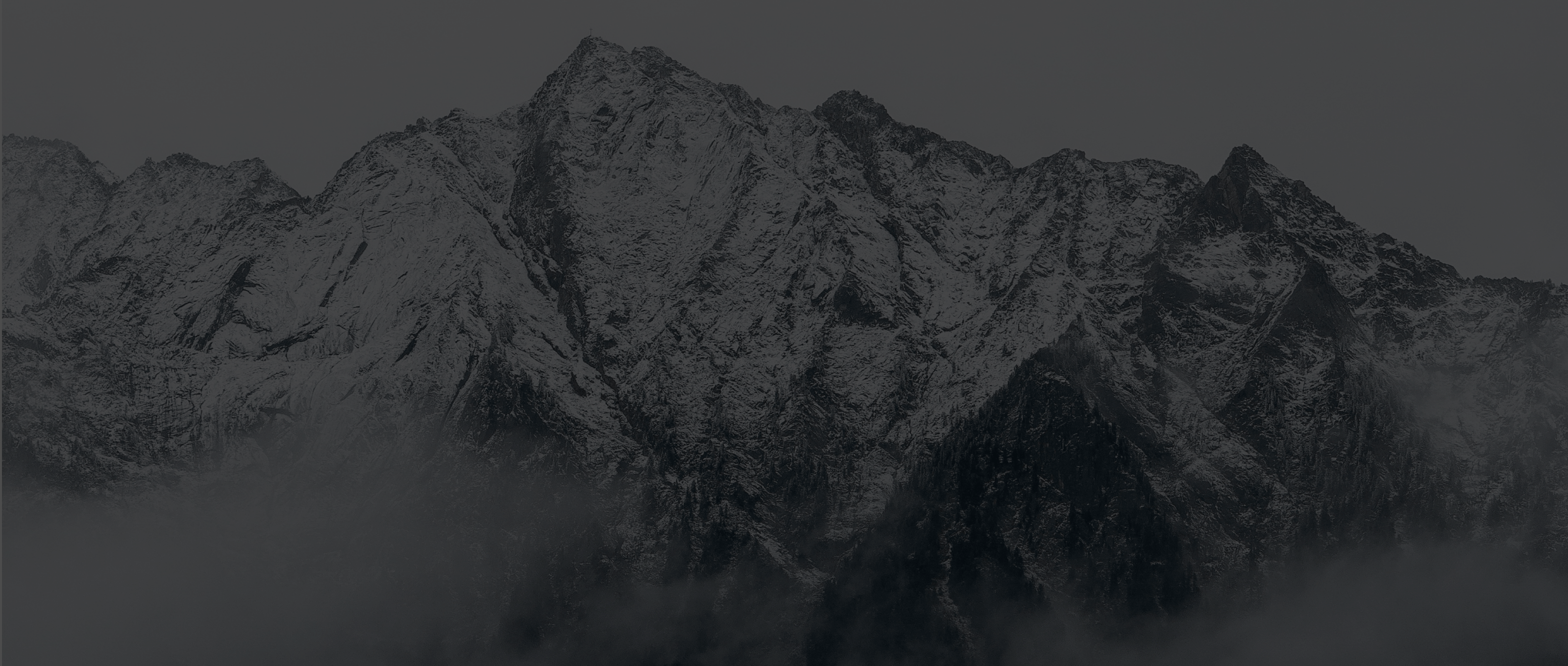 Custom eCommerce development services tailored for B2C and B2B businesses