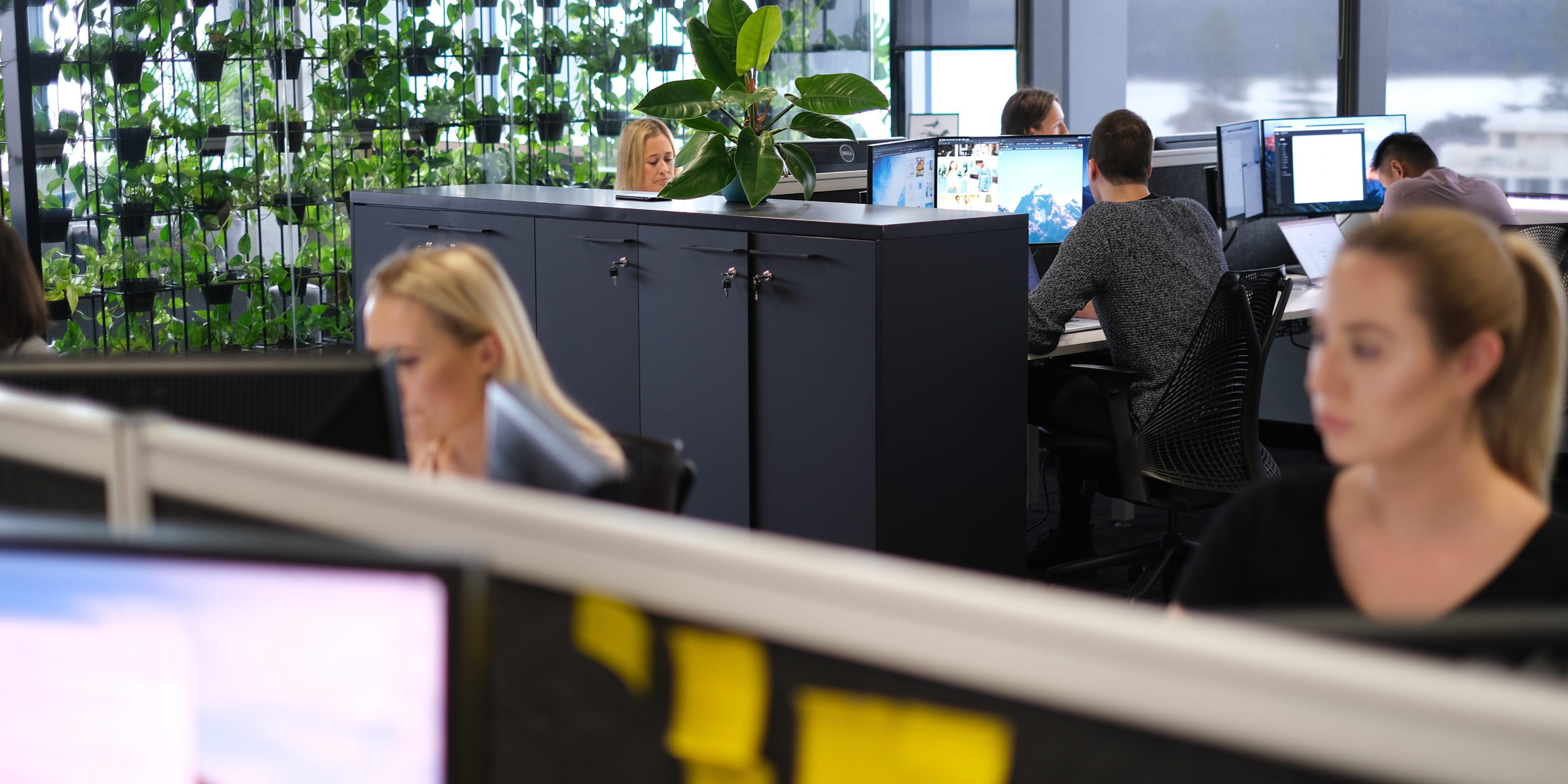 Employees working on innnovative software as a service technology for growth