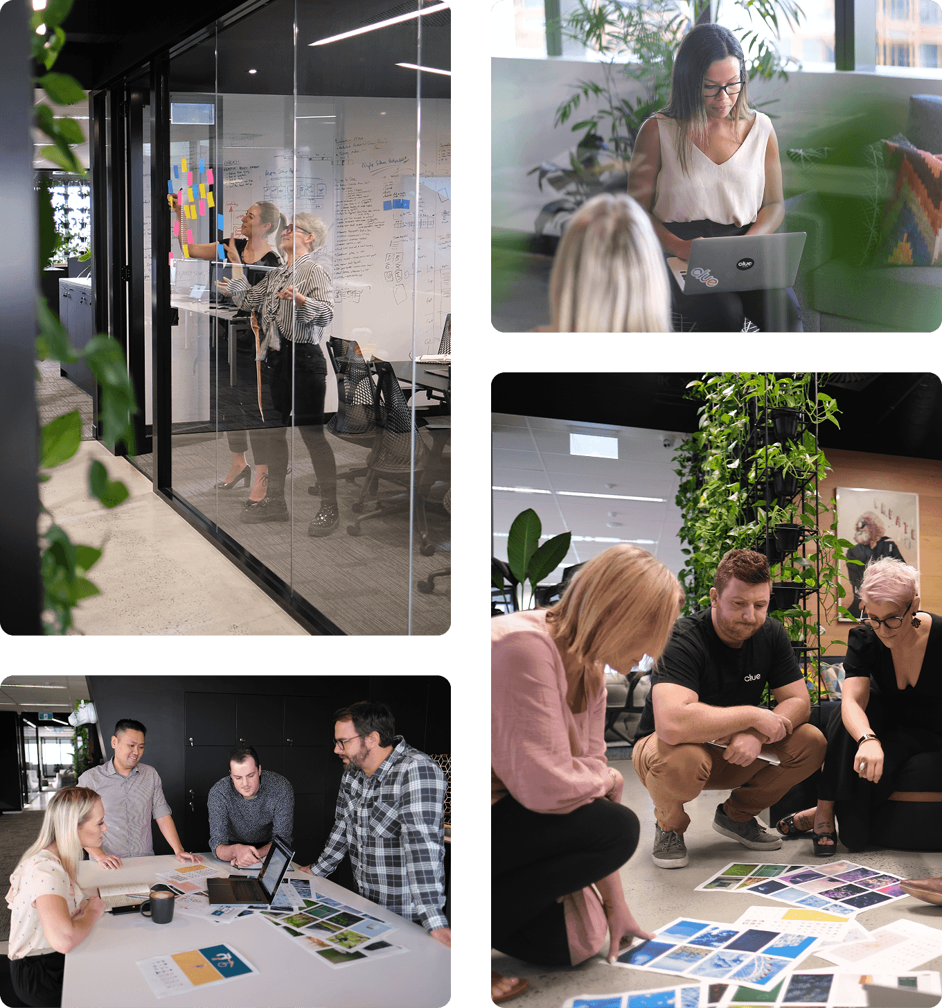 Branding experts collaborating on logo and visual identity design