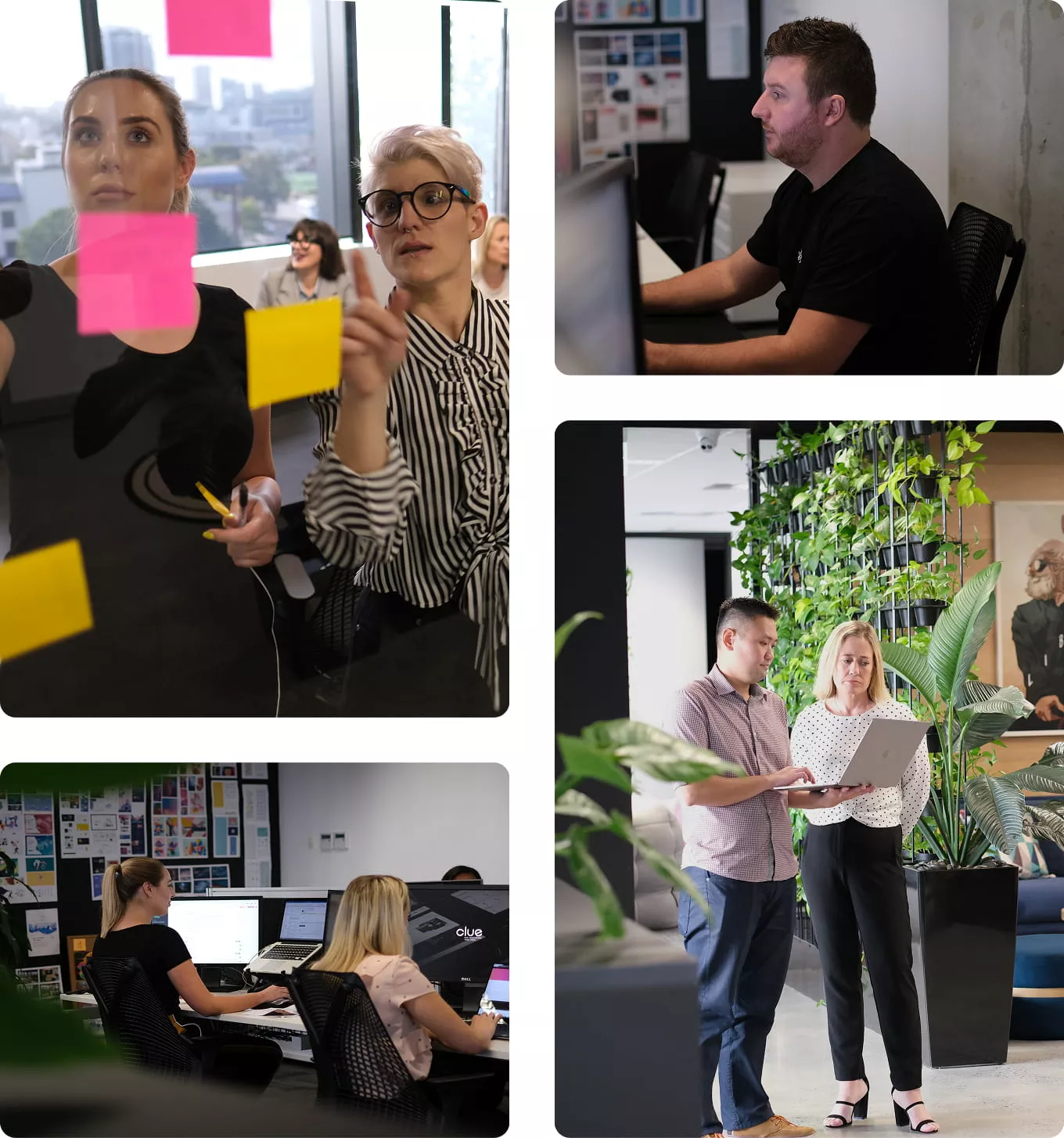 Intale digital marketing agency Berlin employees working together